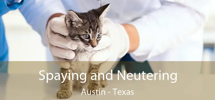 Spaying and Neutering Austin - Texas