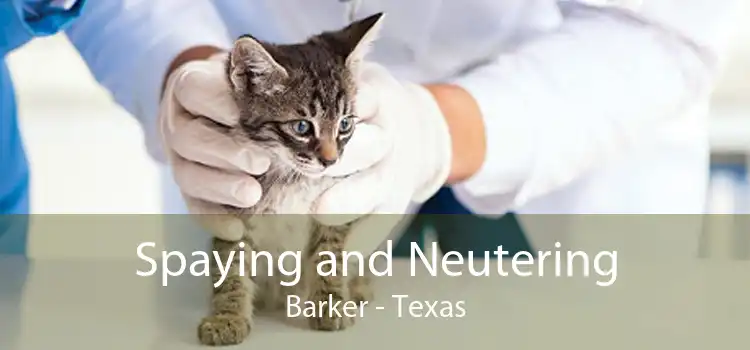 Spaying and Neutering Barker - Texas
