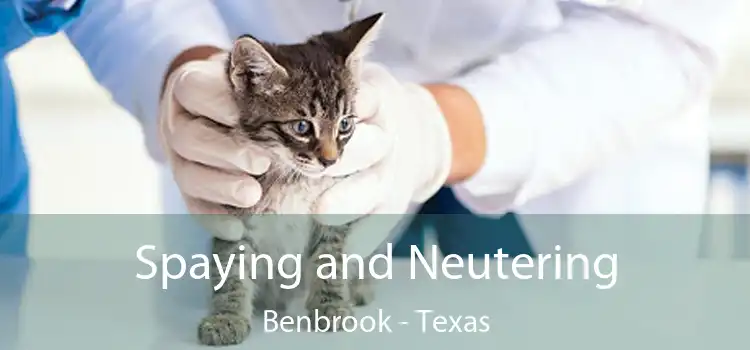 Spaying and Neutering Benbrook - Texas