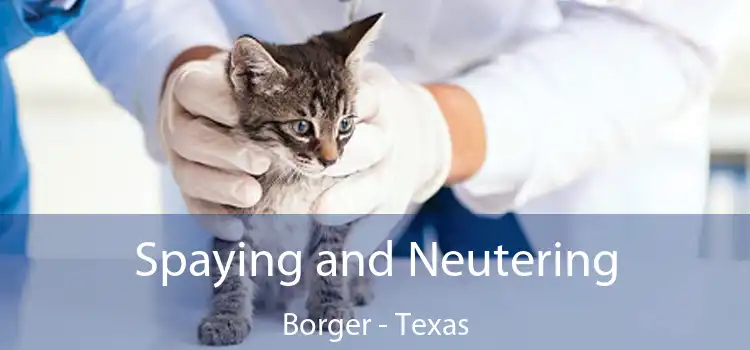 Spaying and Neutering Borger - Texas