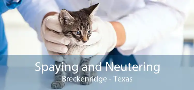 Spaying and Neutering Breckenridge - Texas