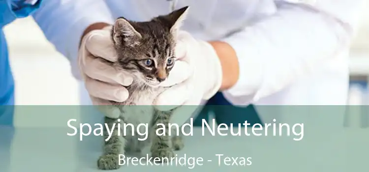 Spaying and Neutering Breckenridge - Texas