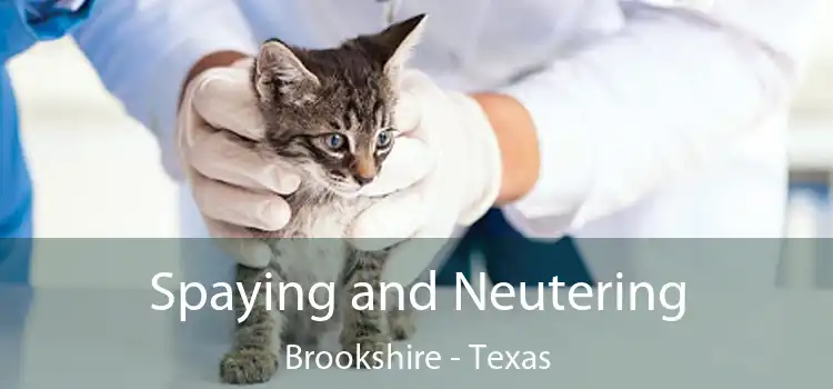 Spaying and Neutering Brookshire - Texas