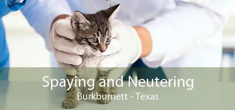 Spaying and Neutering Burkburnett - Texas