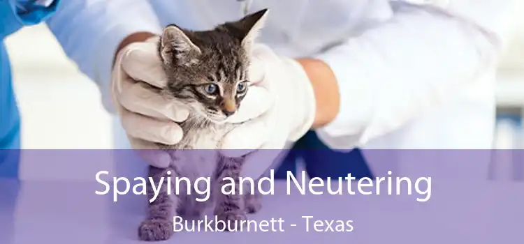 Spaying and Neutering Burkburnett - Texas