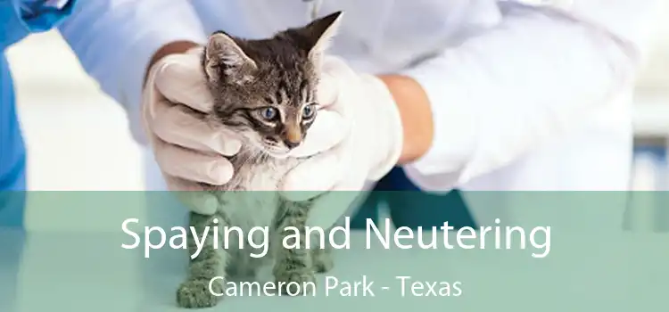 Spaying and Neutering Cameron Park - Texas