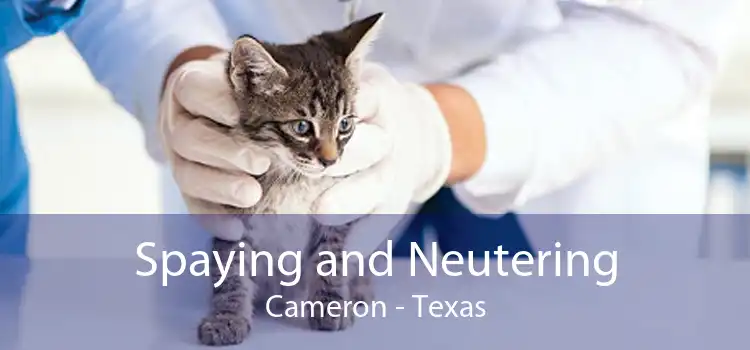 Spaying and Neutering Cameron - Texas