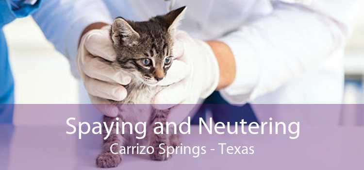Spaying and Neutering Carrizo Springs - Texas