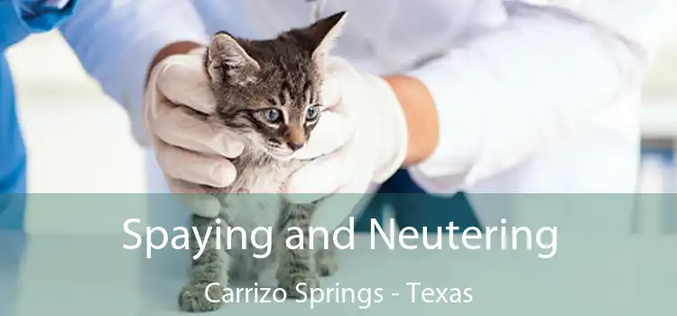 Spaying and Neutering Carrizo Springs - Texas