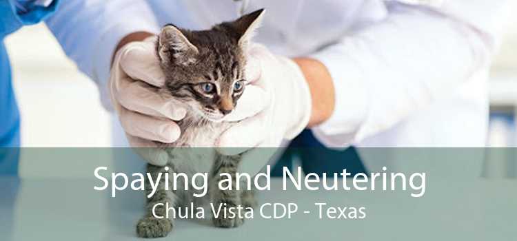 Spaying and Neutering Chula Vista CDP - Texas