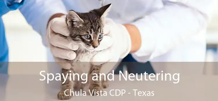 Spaying and Neutering Chula Vista CDP - Texas