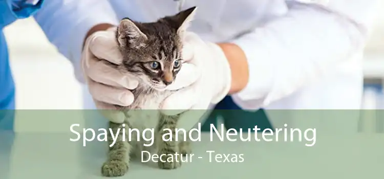 Spaying and Neutering Decatur - Texas