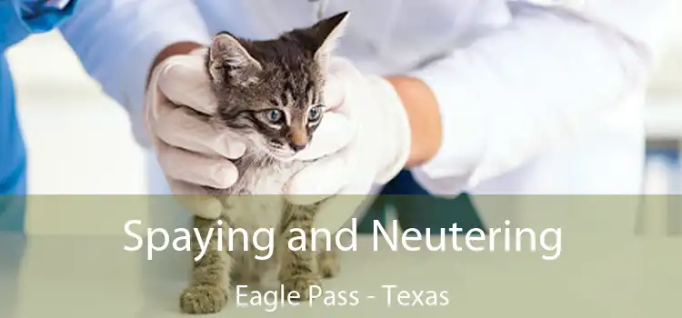 Spaying and Neutering Eagle Pass - Texas