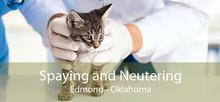 Spaying and Neutering Edmond - Oklahoma