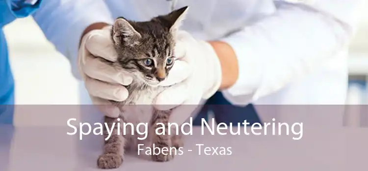 Spaying and Neutering Fabens - Texas