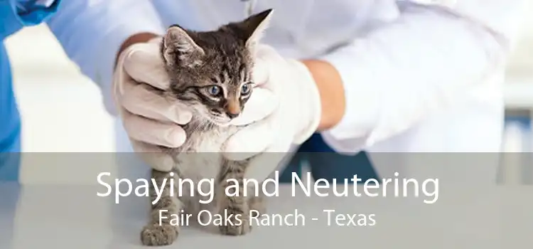 Spaying and Neutering Fair Oaks Ranch - Texas