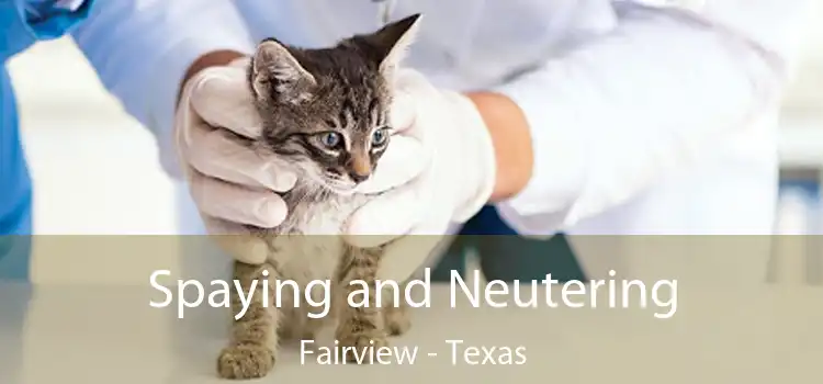 Spaying and Neutering Fairview - Texas