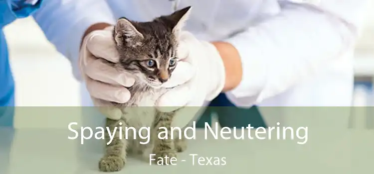 Spaying and Neutering Fate - Texas