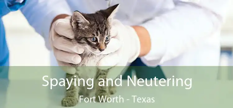 Spaying and Neutering Fort Worth - Texas