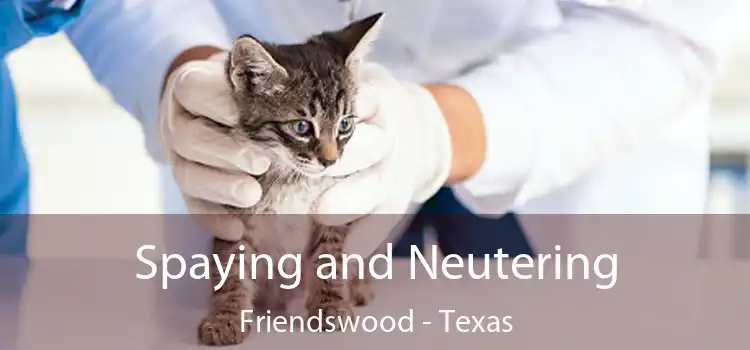 Spaying and Neutering Friendswood - Texas