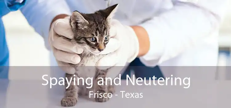 Spaying and Neutering Frisco - Texas