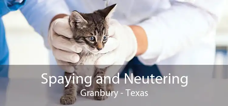 Spaying and Neutering Granbury - Texas