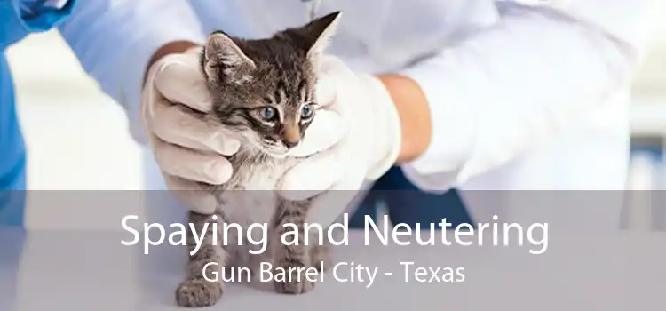 Spaying and Neutering Gun Barrel City - Texas