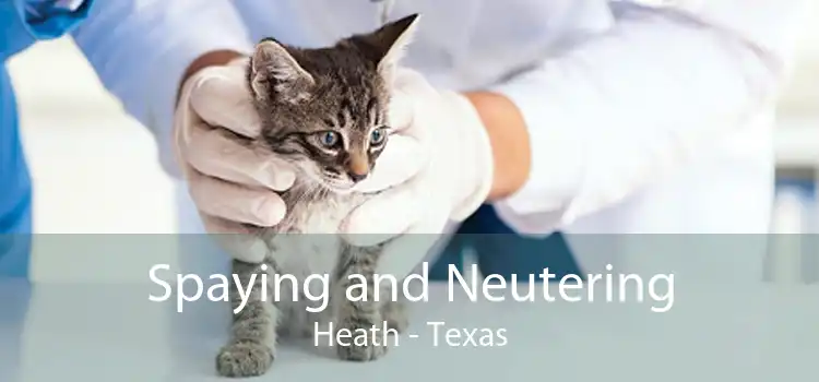 Spaying and Neutering Heath - Texas