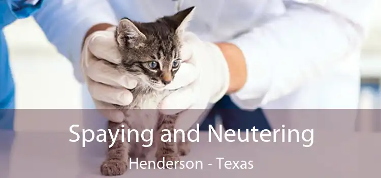 Spaying and Neutering Henderson - Texas