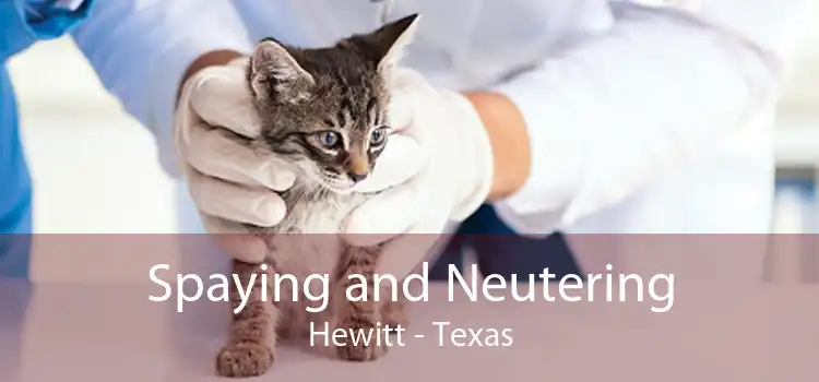 Spaying and Neutering Hewitt - Texas