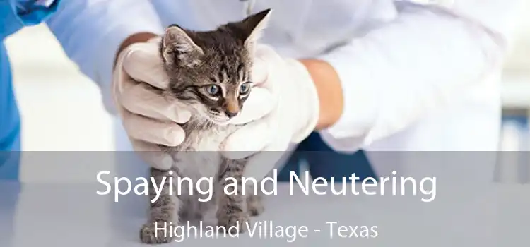 Spaying and Neutering Highland Village - Texas