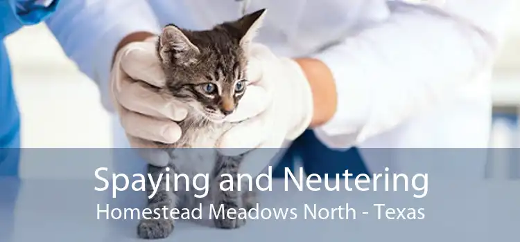 Spaying and Neutering Homestead Meadows North - Texas