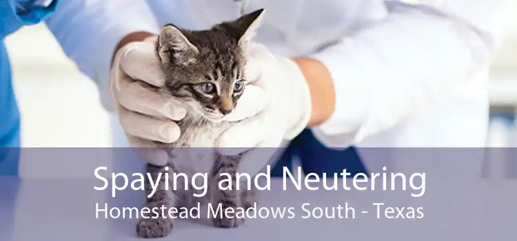Spaying and Neutering Homestead Meadows South - Texas