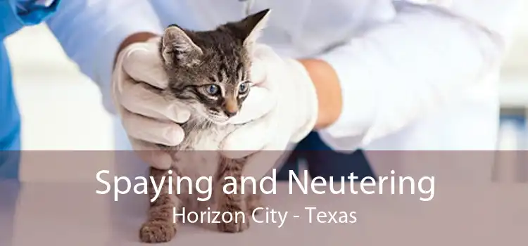 Spaying and Neutering Horizon City - Texas