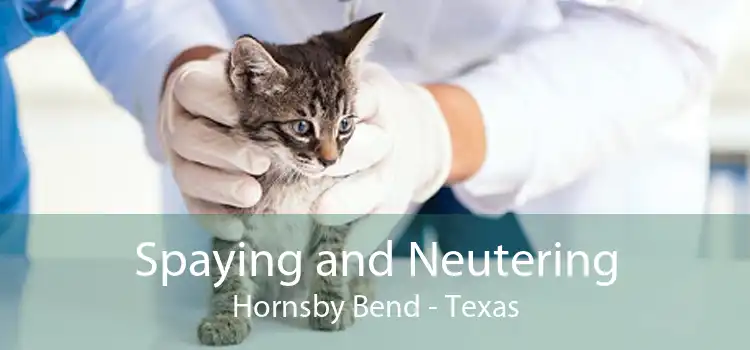 Spaying and Neutering Hornsby Bend - Texas