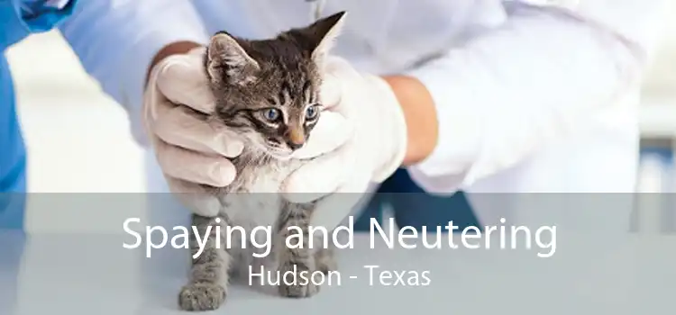 Spaying and Neutering Hudson - Texas