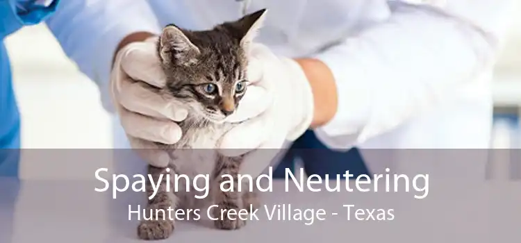 Spaying and Neutering Hunters Creek Village - Texas