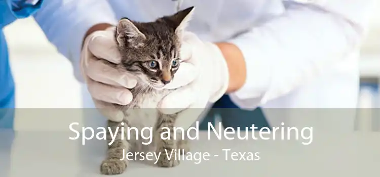 Spaying and Neutering Jersey Village - Texas