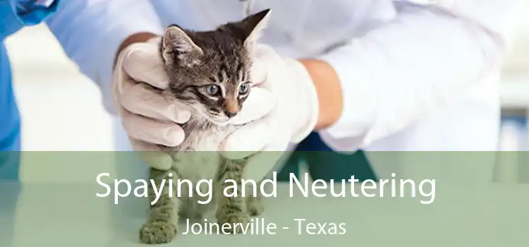 Spaying and Neutering Joinerville - Texas