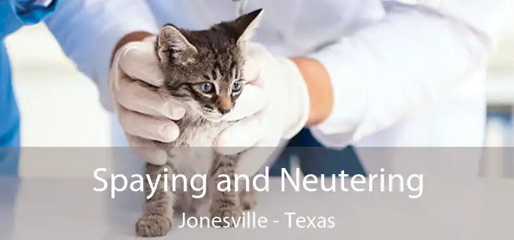 Spaying and Neutering Jonesville - Texas