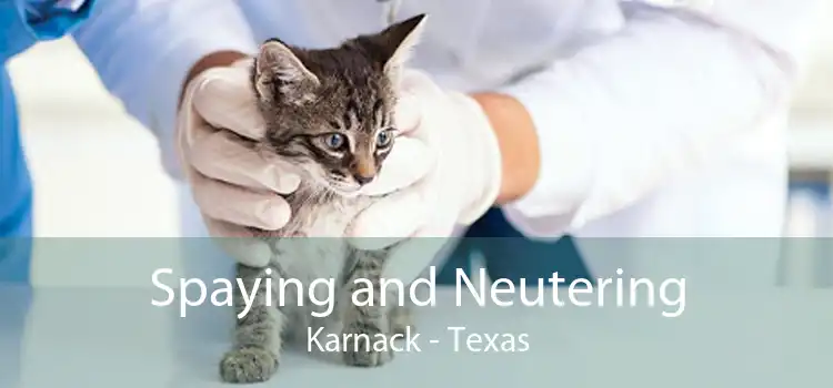 Spaying and Neutering Karnack - Texas