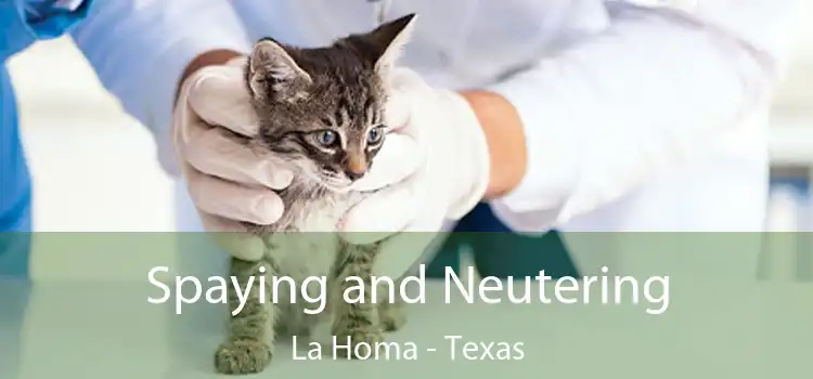 Spaying and Neutering La Homa - Texas