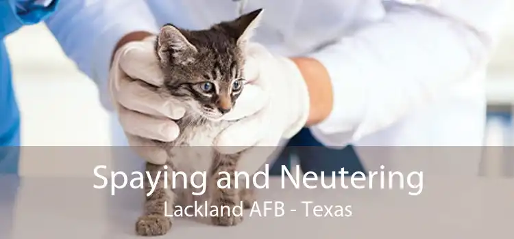 Spaying and Neutering Lackland AFB - Texas