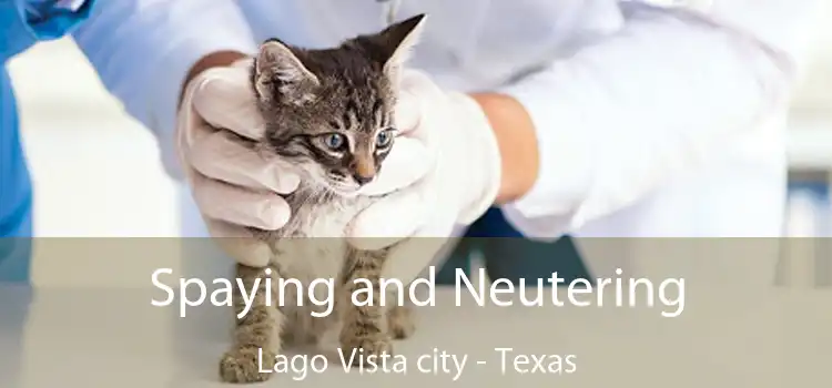Spaying and Neutering Lago Vista city - Texas