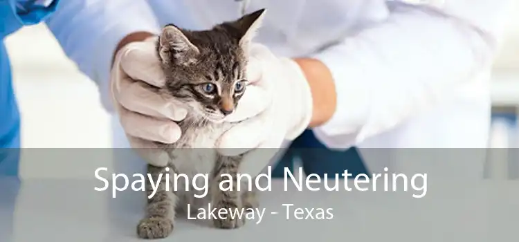 Spaying and Neutering Lakeway - Texas