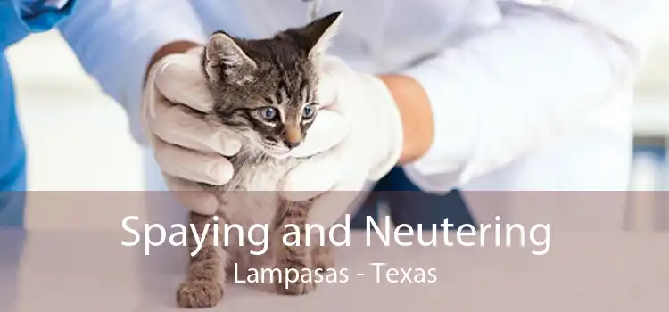 Spaying and Neutering Lampasas - Texas