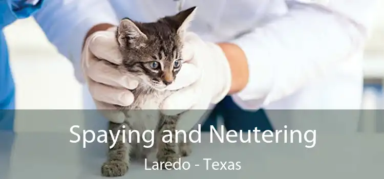 Spaying and Neutering Laredo - Texas