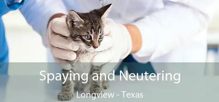 Spaying and Neutering Longview - Texas