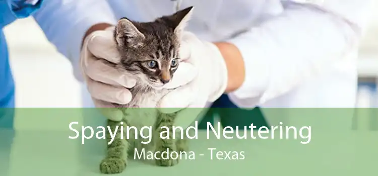 Spaying and Neutering Macdona - Texas