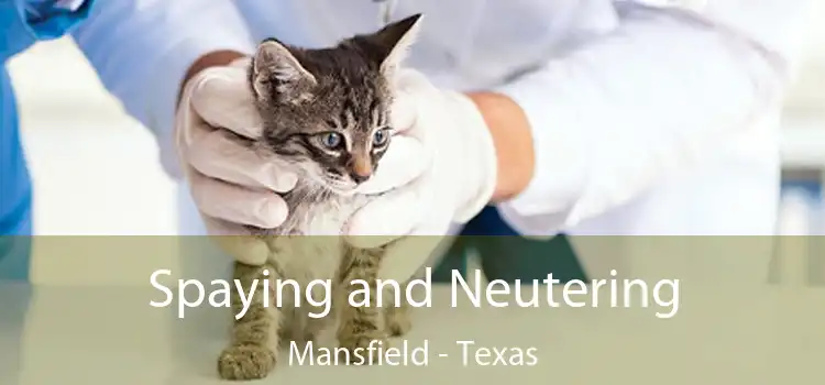 Spaying and Neutering Mansfield - Texas